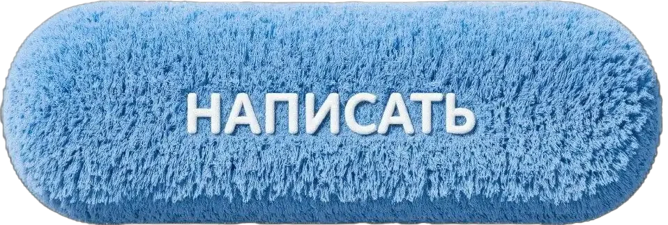Написать